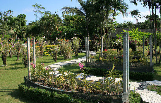 Duta Orchid Garden