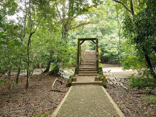 Cagar Alam Pangandaran