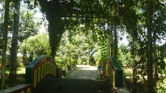 Taman Botani Sukorambi