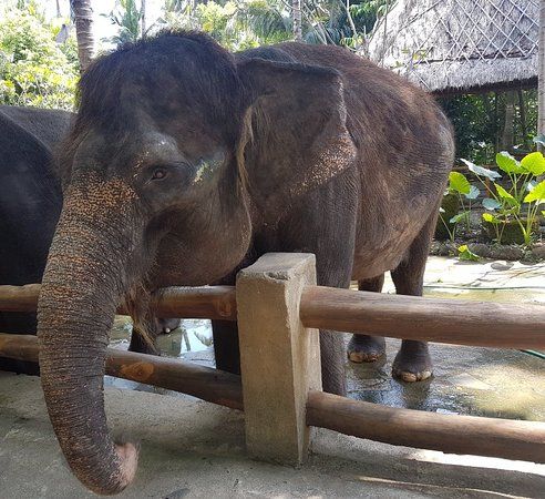 Lombok Wildlife Park