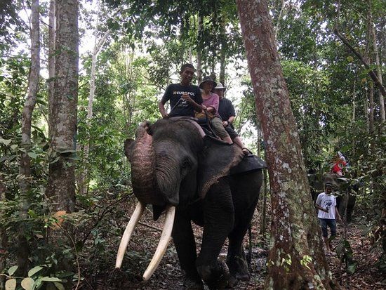 Minas Elephant Training Centre